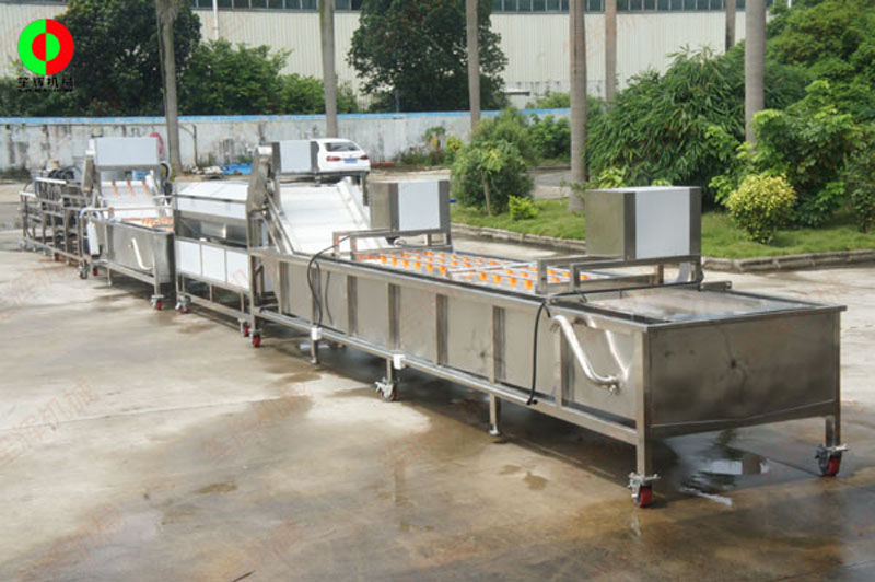 fruit processing machine