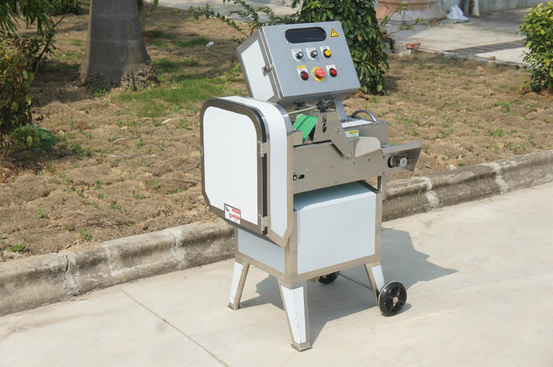 vegetable cutter online shopping