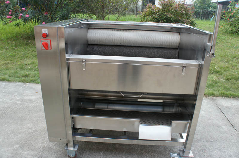 fruit peeler machine