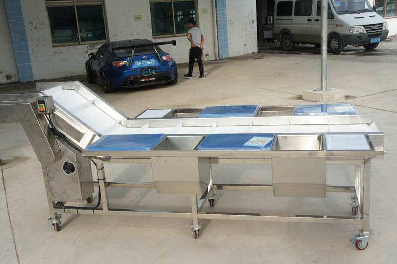 The production line of leek killing green can also process other materials