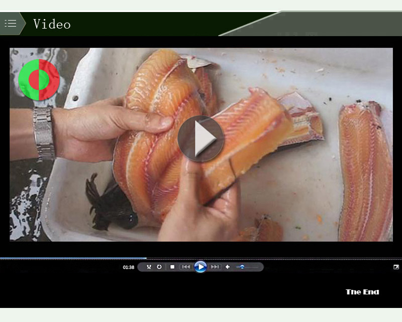 automatic filleting machine-food machine-shenghui-fish processing machine