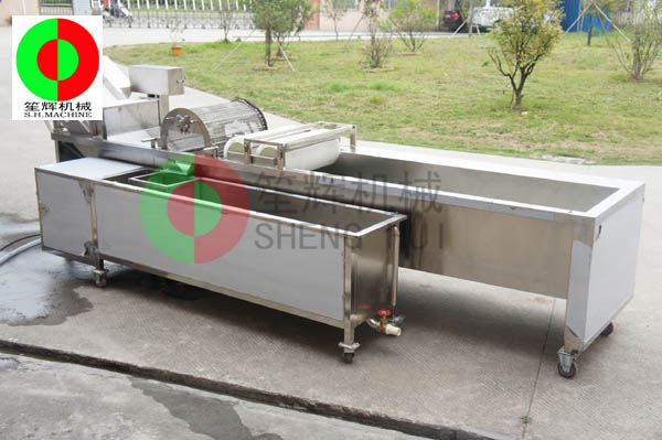 Introduction of two kinds of fruit and vegetable washing machines