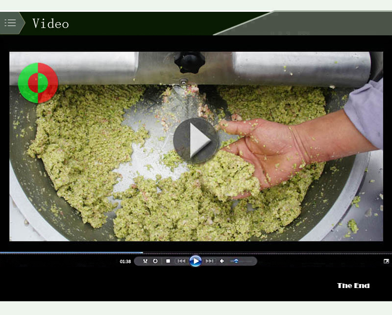 meat mixer grinder-food machine-shenghui