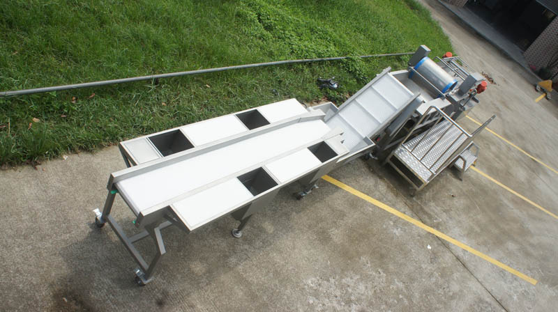 Vortex production line combination vegetable production line