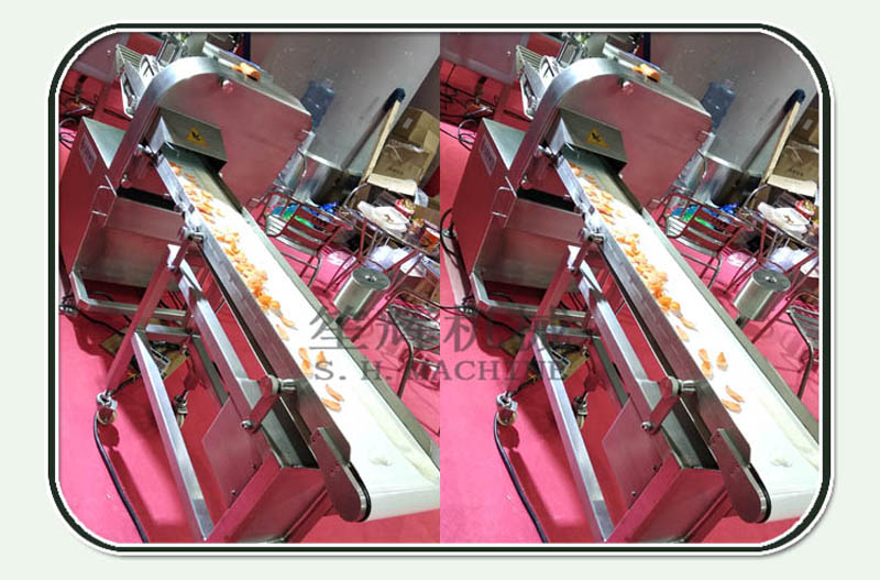 fresh meat slicer machine