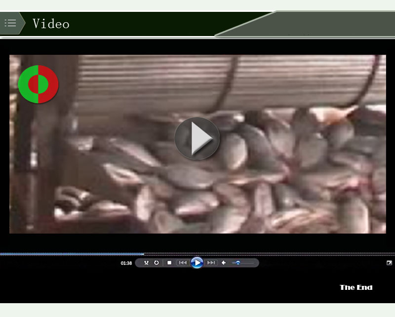 Automatic fish scaling machine