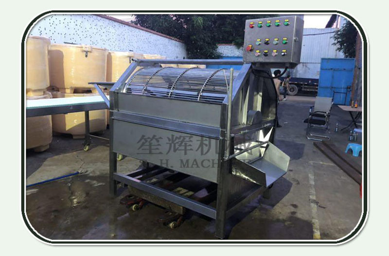 fish scaler machine1