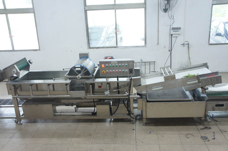 vegetable sanitizer machine