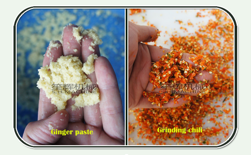 vegetable chop-vegetable cutting machine