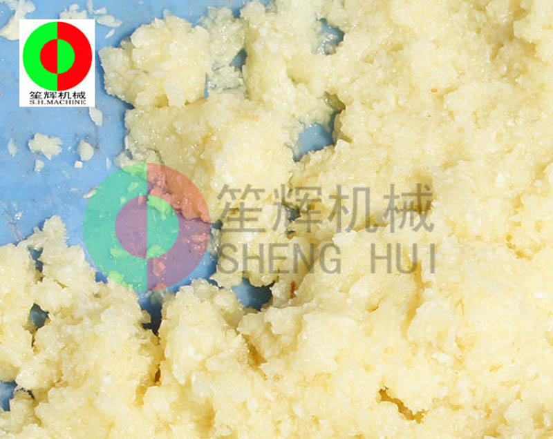 electric vegetable chopper