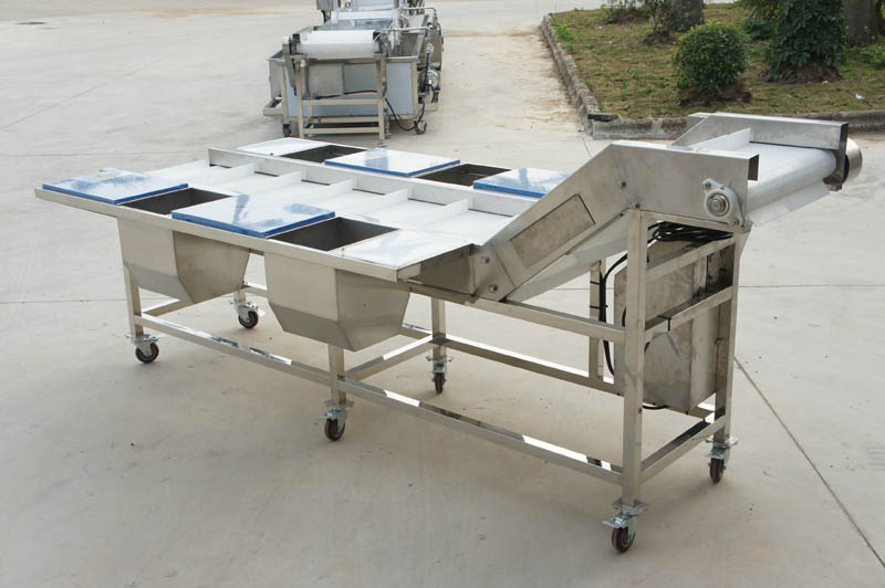 fruit and vegetable processing industry