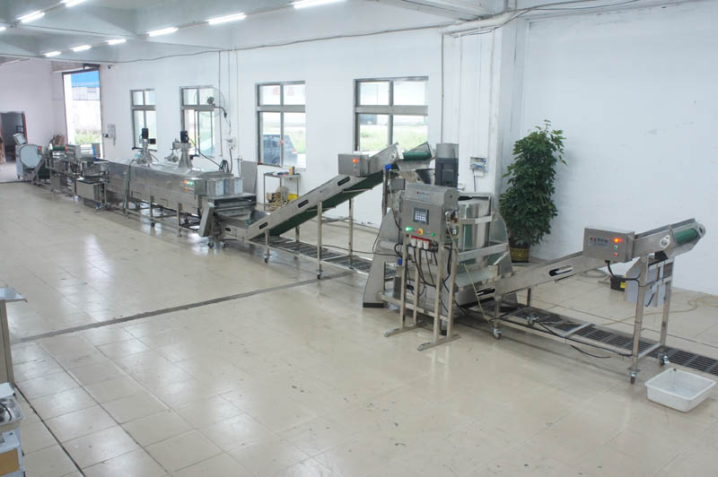fruit cutting machine