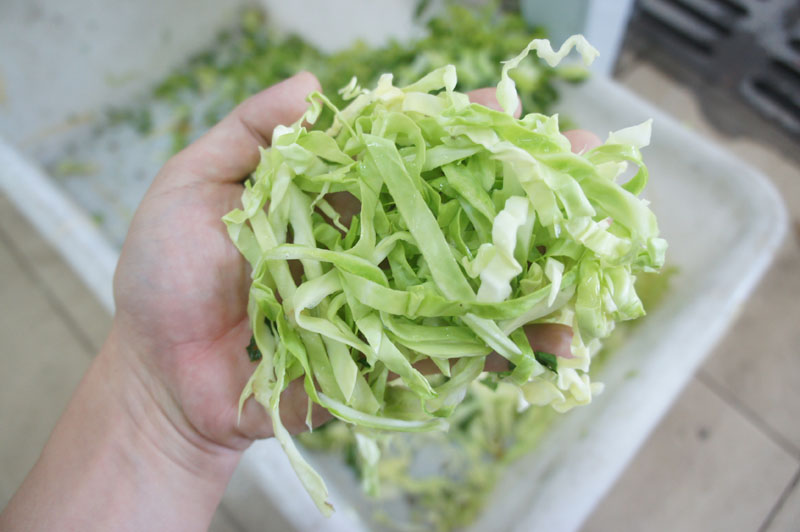automatic vegetable cutter