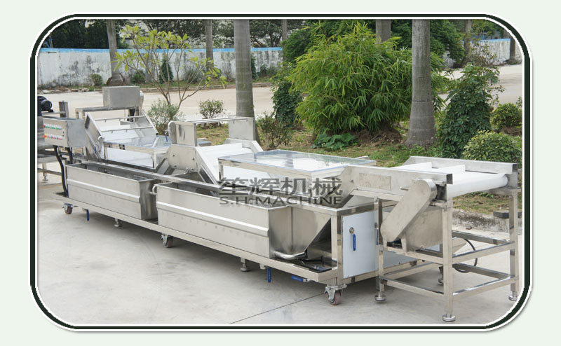 fruit vegetable washer-food machine-washing machine-shenghui