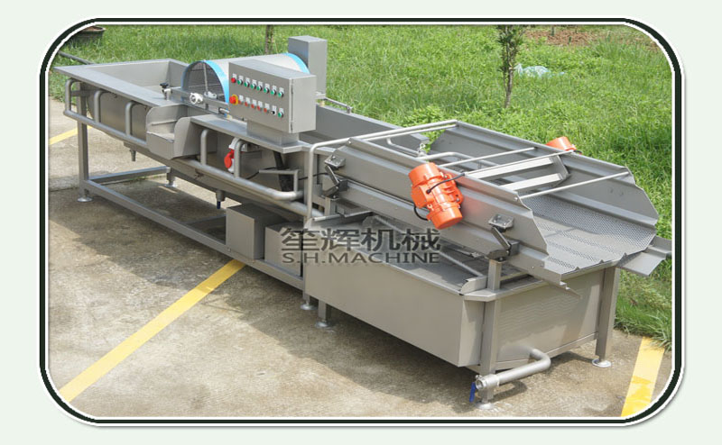 vegetable sanitizer machine-food machine