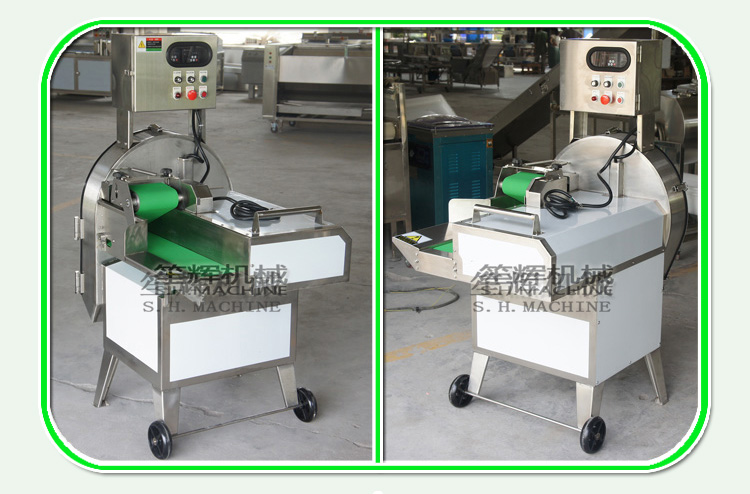 Vegetable cutter and fruit and vegetable washing machine