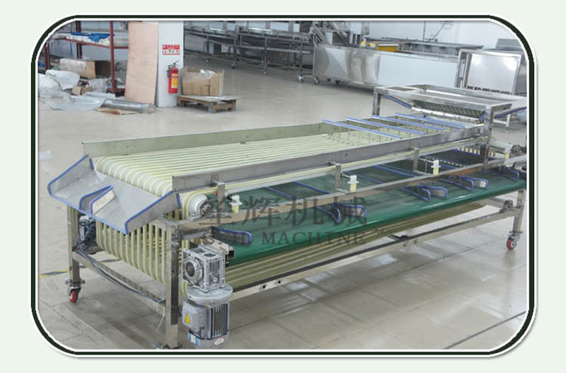 food processing line1