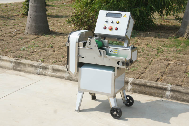 vegetable cutting machine