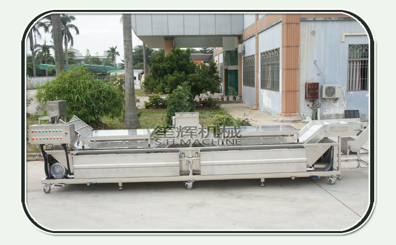 automatic fruit and vegetable washer-food machine-washing machine