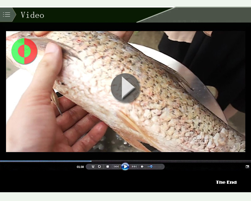 motorized fish scaler-food machine-shenghui-fish machine