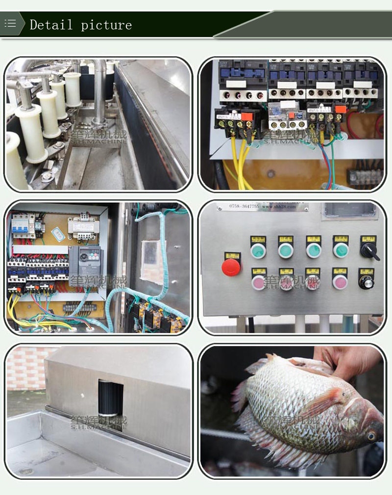 tilapia processing equipment-food machine-fish machine