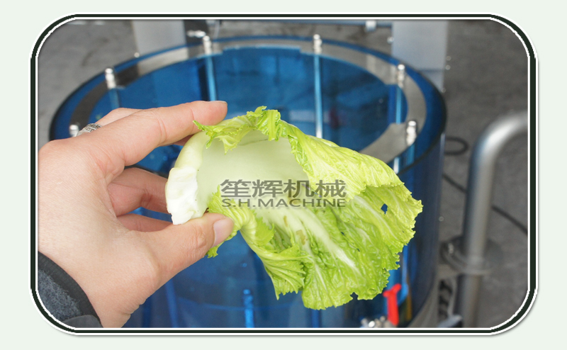 dehydration-food dehydrator