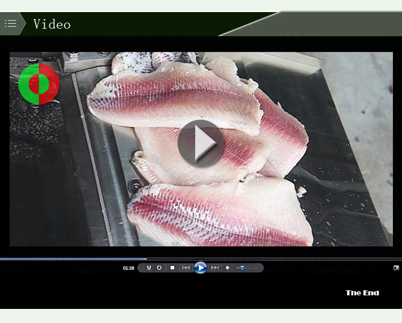automatic fish skinner-food machine-shenghui-fish skinner