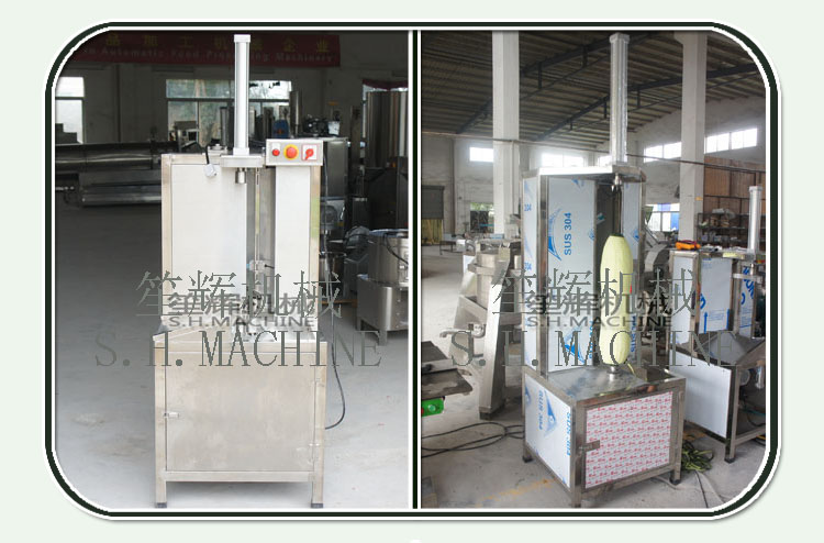 vegetable peeler machine