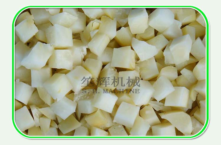 electric vegetable dicer