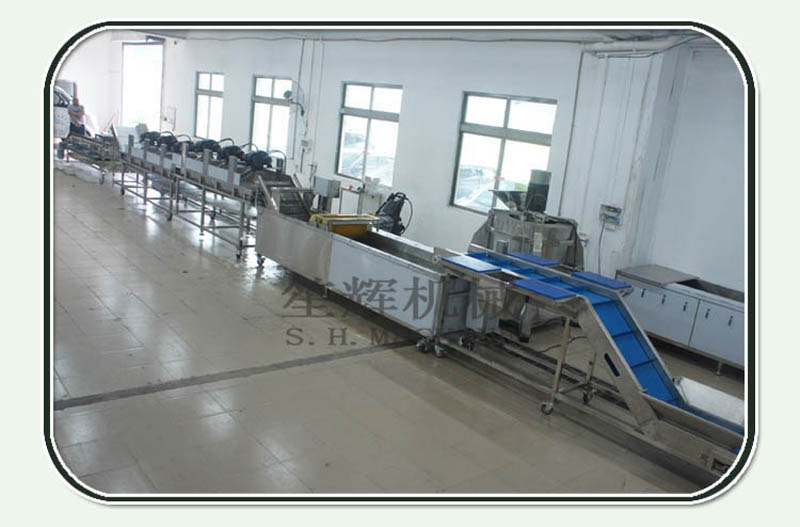 vegetable sorting machine
