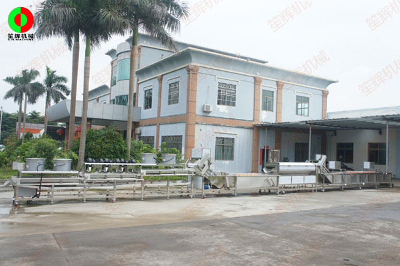 garlic processing machine