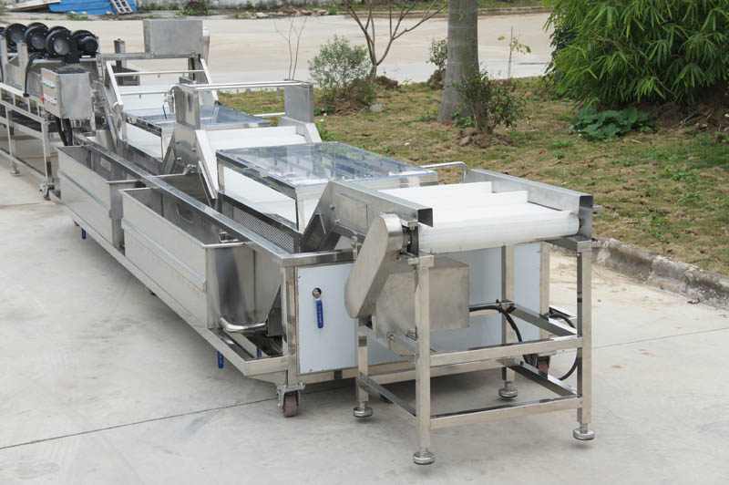 lettuce cleaning machine