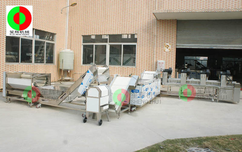 fruit and vegetable processing companies