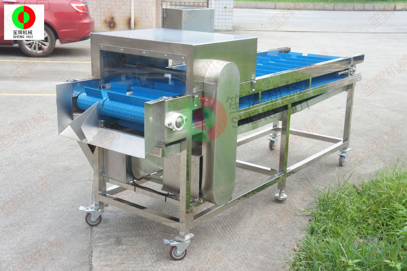 fish descaling machine