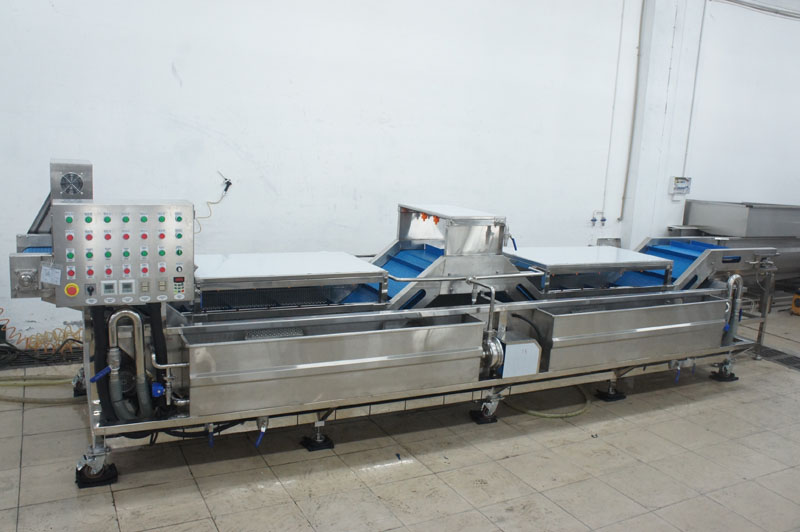 vegetable fruit washing machine