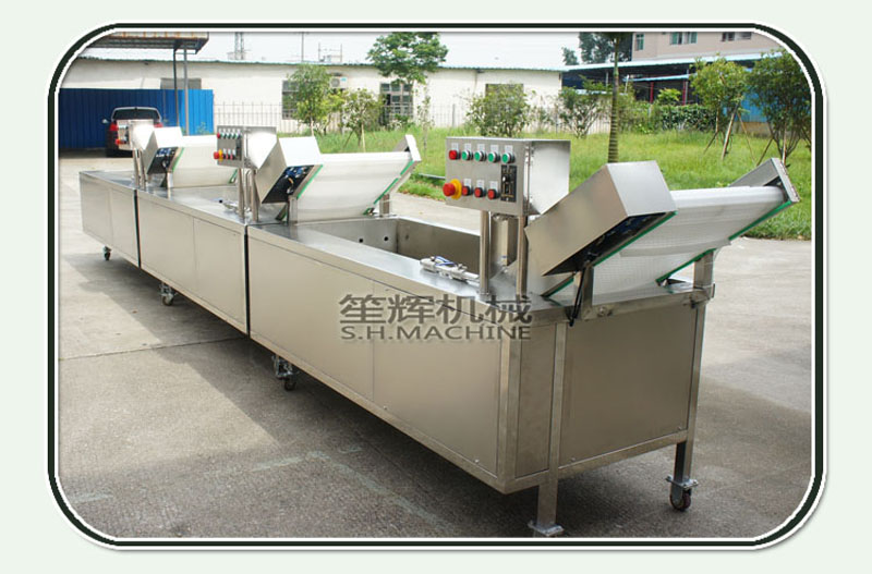 processed vegetables-vegetable washing machine