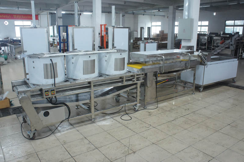 Introduction of passion fruit production line