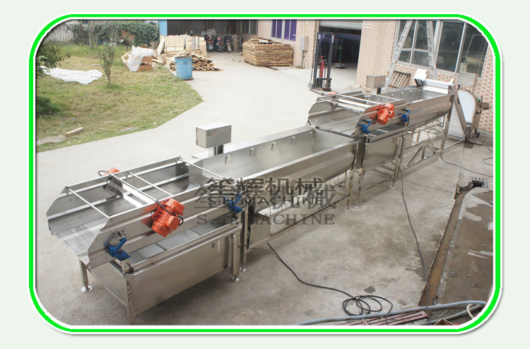 Vegetable washing machine meets the needs of different fields of food processing