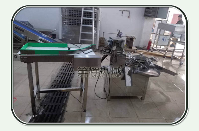 egg machine-food machine-shenghui-egg breaking machine