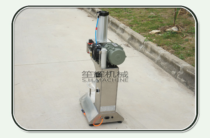 fruit and vegetable peeler-peeling machine