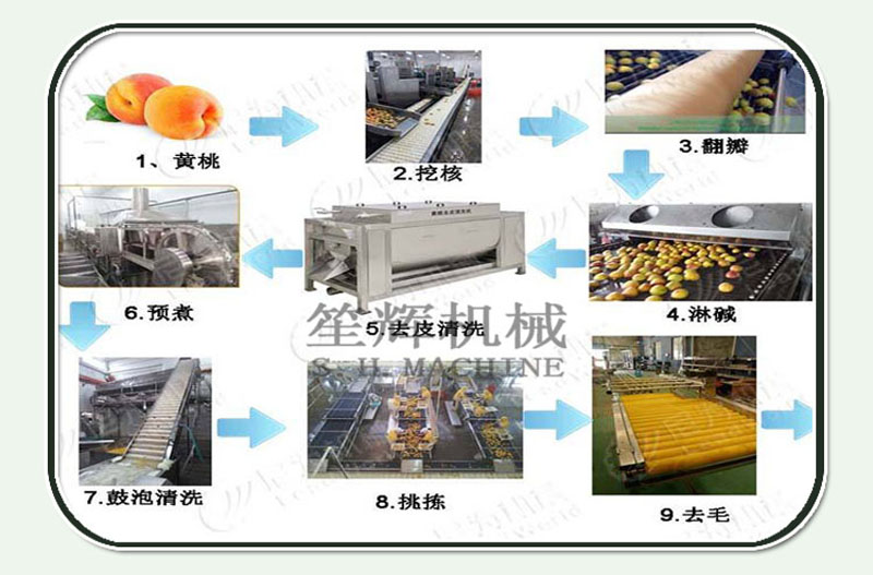 vegetable cleaning machine