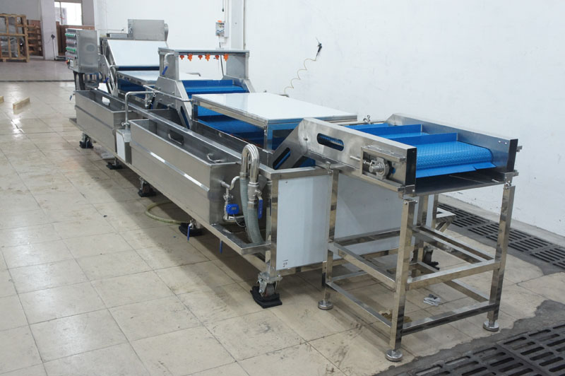 fruit vegetable washer