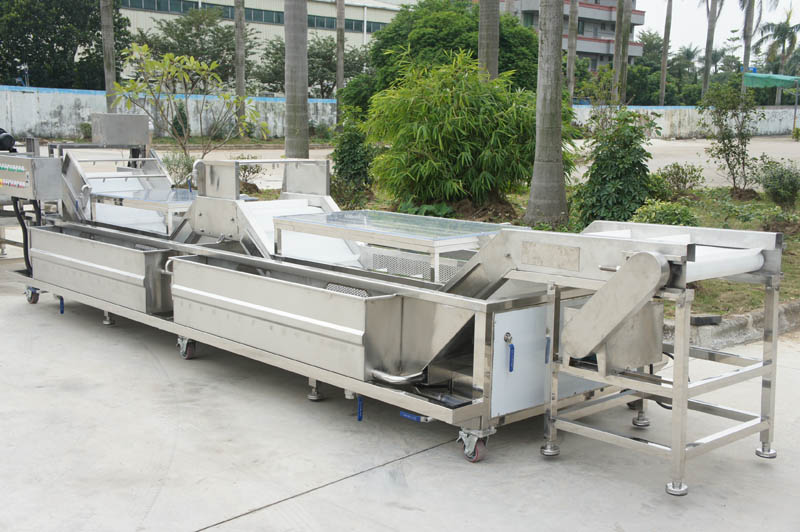 vegetable washing machine