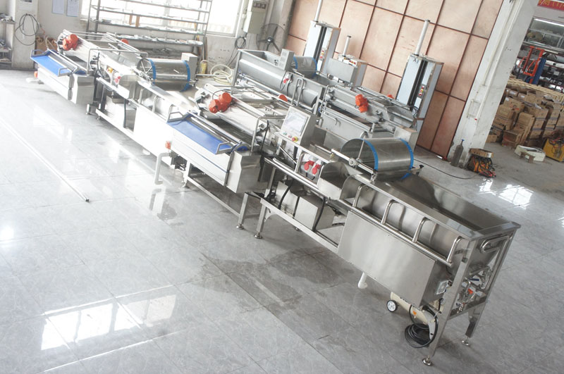 vegetable washing machine price