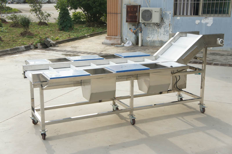 vegetable processor machine