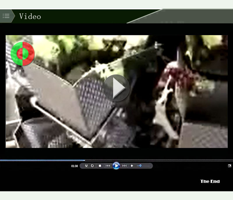 food weight scale-food machine-food equipment