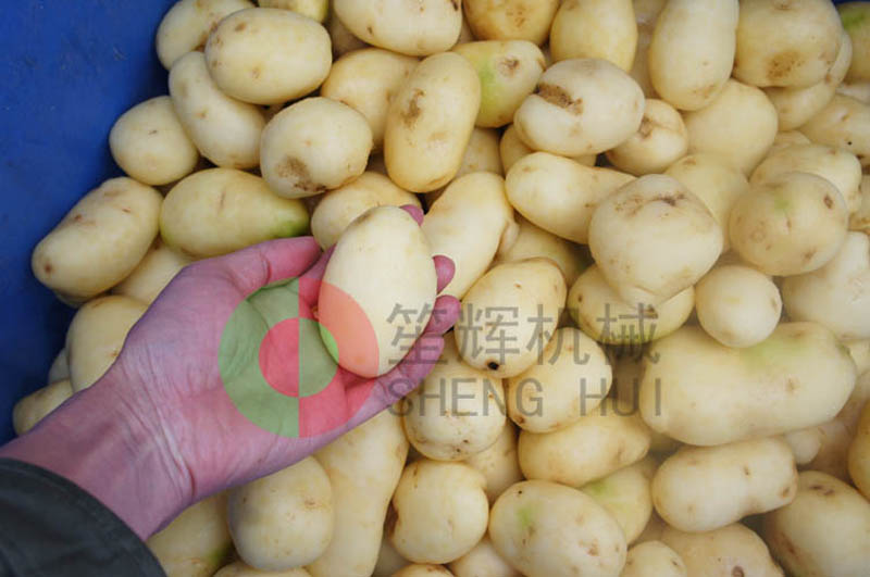 Choice for potato peeling machine