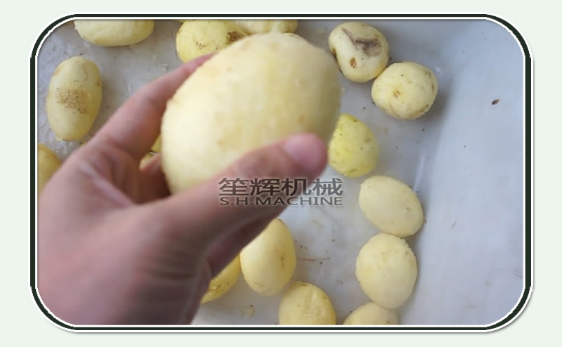 carrot peelers-potatoes peeling machine