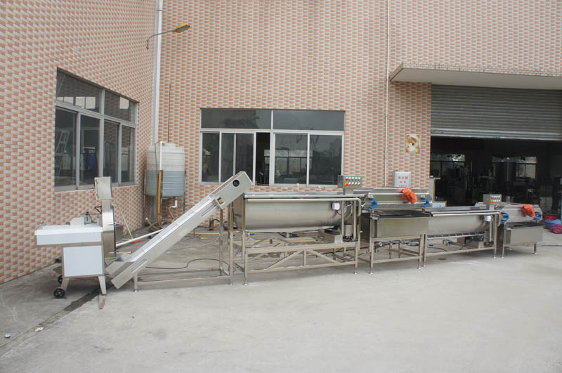 vegetable washing machine