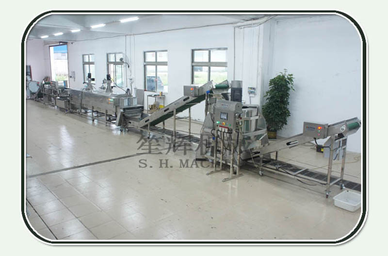 Leek Processing Line